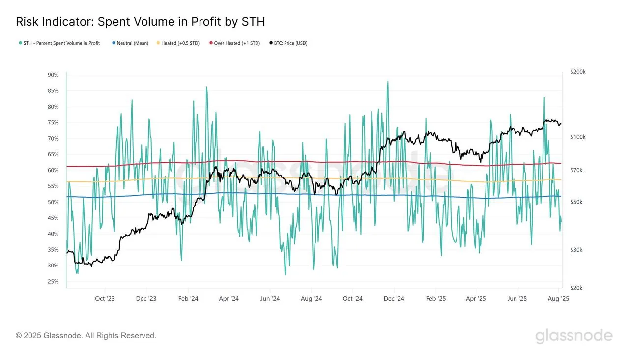 Bitcoin risk indicator chart showing spent volume in profit by short-term holders over time